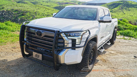 Tundra